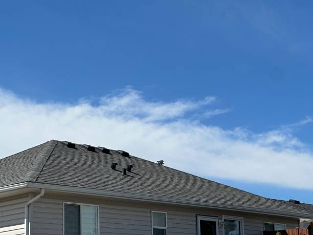 Best Metal Roofing Installation  in Sandy Oaks, TX